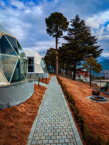 AGC_EGO_1k4920250106_111602228