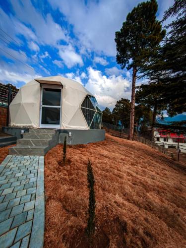 AGC_EGO_1k4920250106_130244887