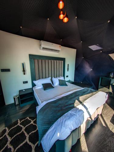 AGC_EGO_1k4920250107_131326331