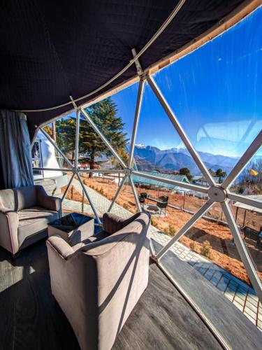 AGC_EGO_1k4920250107_131728477